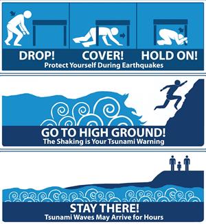 Tsunami Warning Test